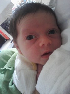 Honest Girl, three days old. Complete trust. Complete love.