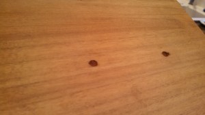 IMG_20150723_083855_375